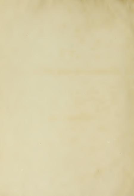 Image of page -1